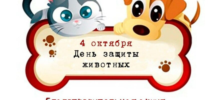 🐶🐱 Благотворительная акция «Остров надежды»